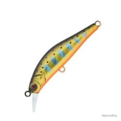 SAKURA ARTACT TROUT 53S 6GR HAMECONS SIMPLES T01