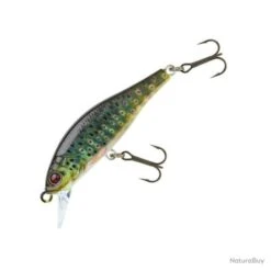 Leurre Sakura Flat Phoxy Minnow Hw 60 S - 6cm - 8g REAL LIFE FARIO TROUT