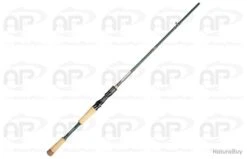 Canne Casting Sakura IONIZER INCB 1 10-30gr 2.13M