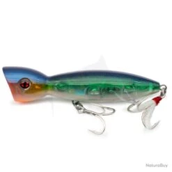 Sakura Pulsion TR 135 F G10