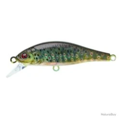 Leurre Coulant Sakura Flat Phoxy Minnow Hw - Holo Trout / 6 G / 5 Cm -Pêche Sportive-SAKURA 00013 Leurre coulant Sakura Flat Phoxy Minnow Hw Holo Trout 6 g 5 cm