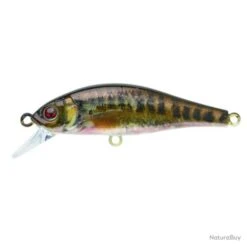 Leurre Coulant Sakura Flat Phoxy Minnow Hw - Albino Trout / 8 G / 6 Cm -Pêche Sportive-SAKURA 00014 Leurre coulant Sakura Flat Phoxy Minnow Hw Albino Trout 8 g 6 cm