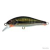 Leurre Coulant Sakura Flat Phoxy Minnow Hw - Real Life Spawning Vairon / 8 G / 6 Cm